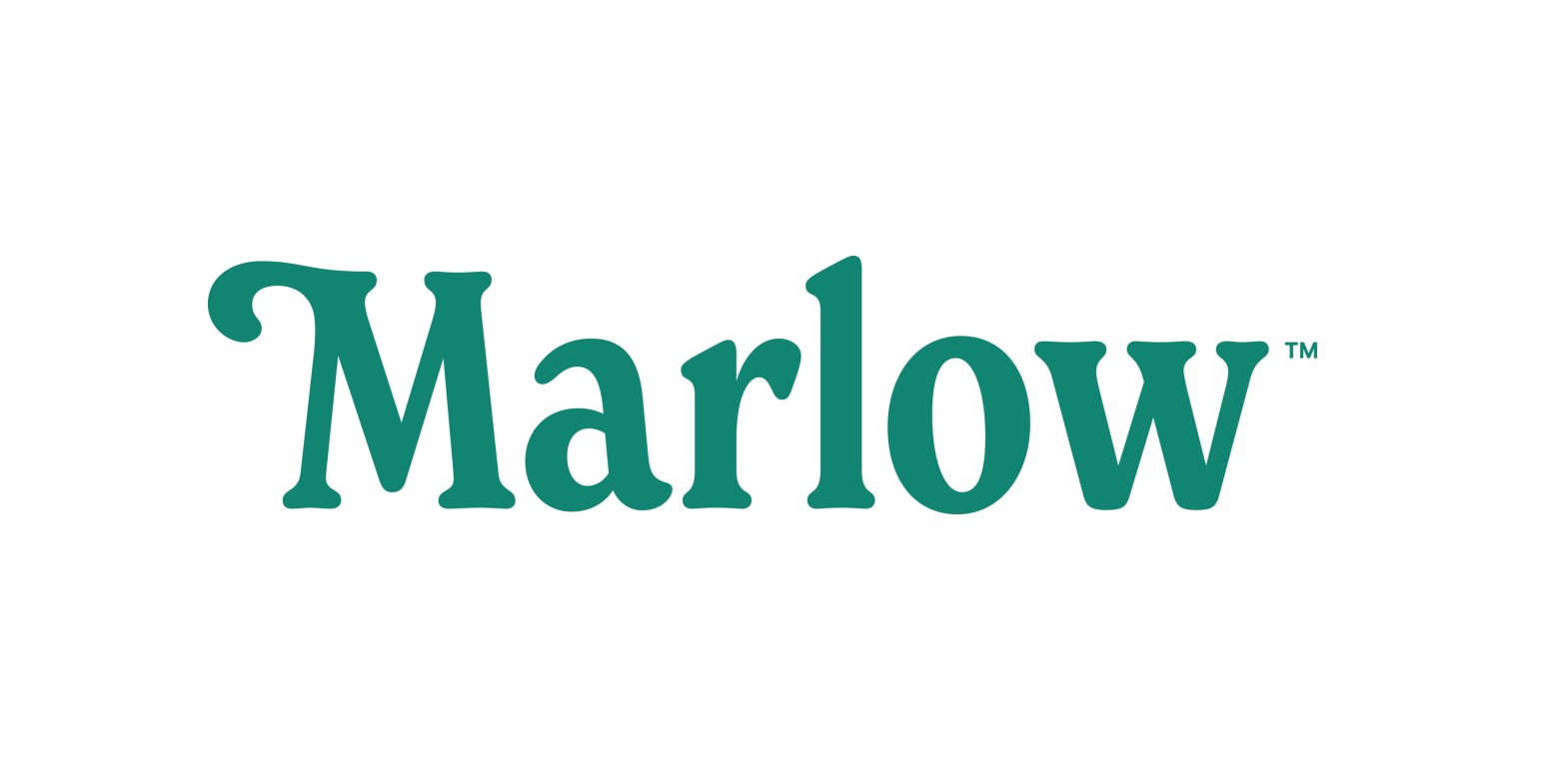 Marlow Pillow Review